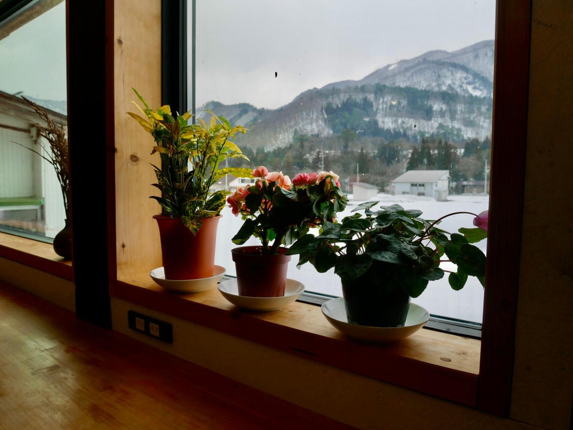 Guesthouse Shirakawa-Go Inn Luaran gambar